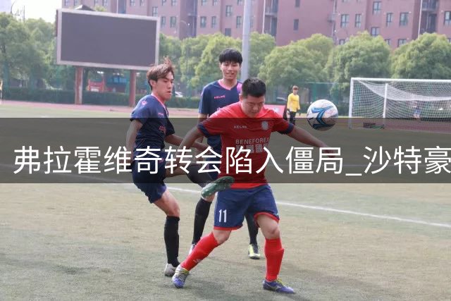 弗拉霍维奇转会陷入僵局 沙特豪门拒绝其经纪人天价佣金要求