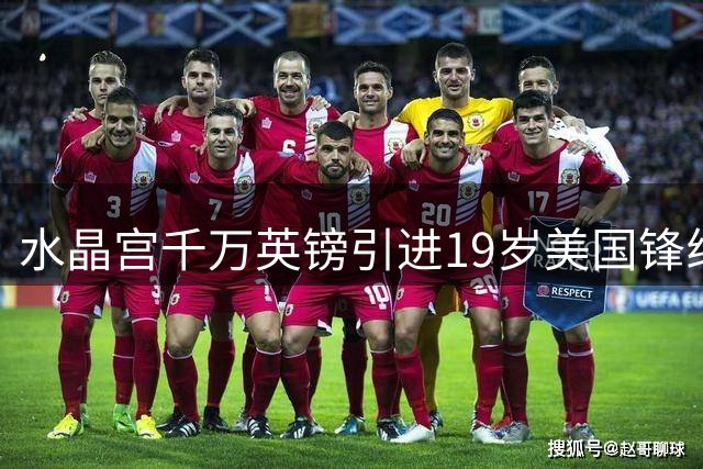 水晶宫千万英镑引进19岁美国锋线新星戈佐